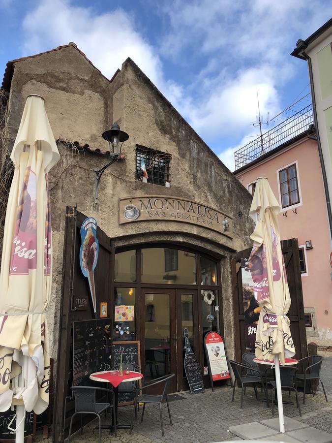 Villa Davinci チェスキー クルムロフ エクステリア 写真